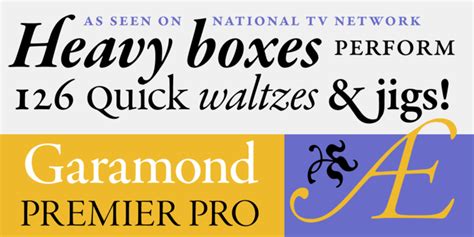 Adobe font installation guide for windows 7,. Garamond Premier Pro Font Download | Download the Garamond ...