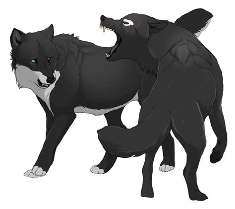 Brothers Fighting Anime Wolf Wolf Artwork Canine Drawing