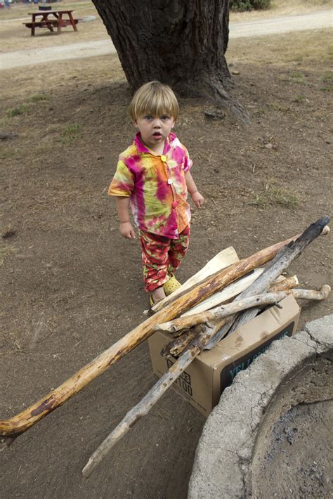 Sam Encounters Firewood For A Big Big Giant Giant Big Fir Flickr