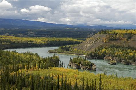 Why the Yukon River is so valuable | WWF Blog