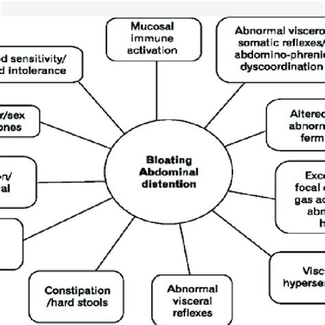 Bloating Abdominal Distension Download Scientific Diagram