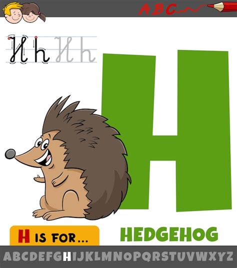 Buchstabe H Vom Alphabet Mit Cartoon Igel Tier Premium Vektor