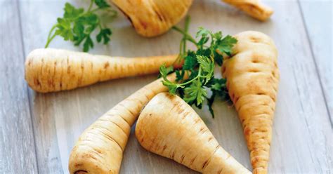 Sammlung von bettina klein • zuletzt aktualisiert: Pastinake die aromatische Verwandte der Karotte