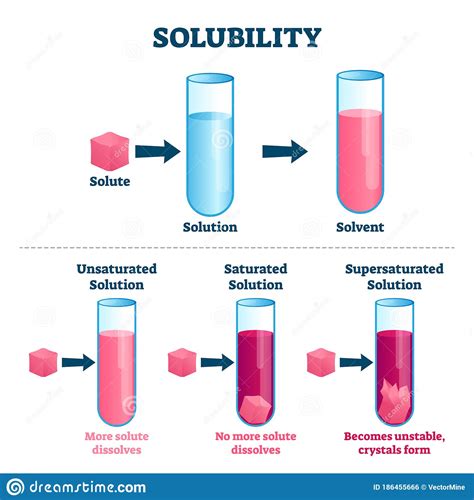 Solubility Vector Illustration Labeled Solute Solvent And Solution