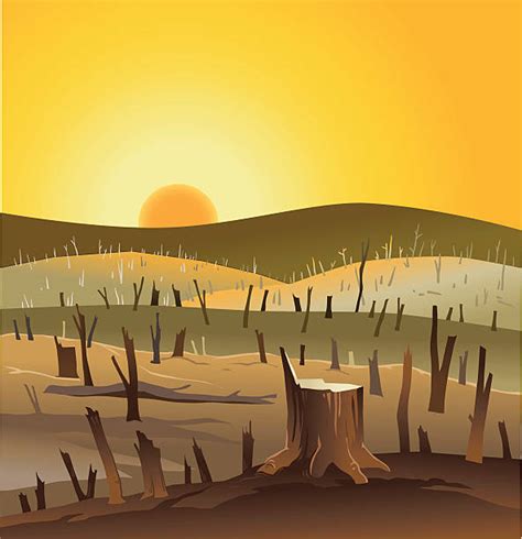 130 Deforestation Wasteland Illustrations Royalty Free Vector