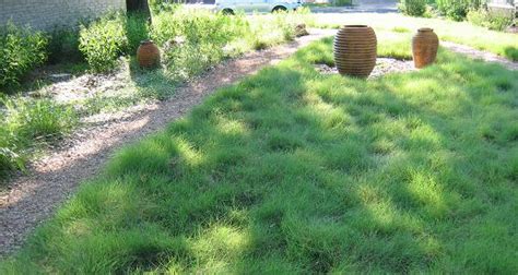 Don't water so long that it runs down the street. Which Types of Grass Should I Plant in Austin?