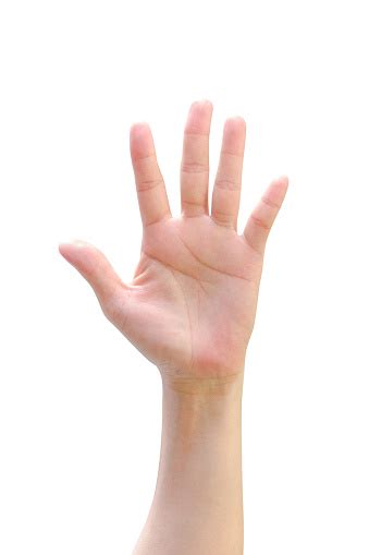 Isolated Female Woman Human Hand Open Palm Raising Up On