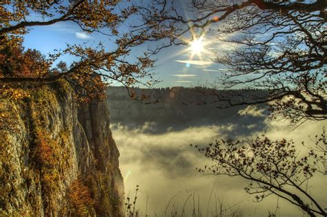 Nature Landscape Photography Cliff Mist Sunlight Trees Fall