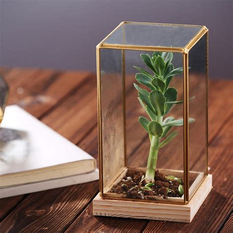 Rectangle Glass Homeware Decorative Succulent Plants Glass Terrarium