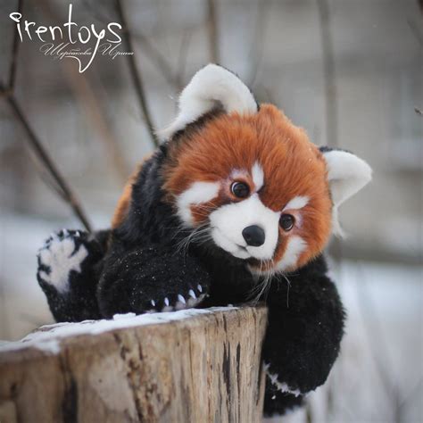 Red Panda Stuffed Toy By Irentoys Red Panda Panda Cute Animal Photos