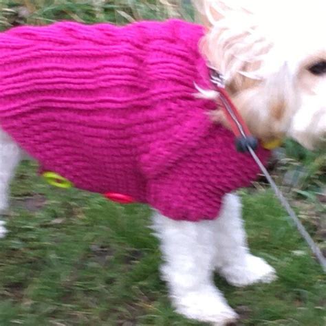 Cabled Dog Cardigan In Lion Brand Wool Ease Thick And Quick
