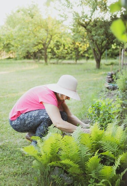 Cala Planta Todo Lo Que Necesitas Saber Sobre El Cuidado Y Cultivo De