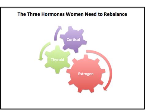The 3 Most Common Hormones Out Of Balance In Women And How To Rebalance Them Naturally