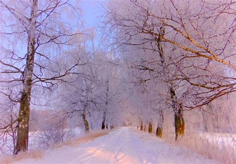 🇱🇹 Winter Wonderland Lithuania By Re~gi~na 500px Winter