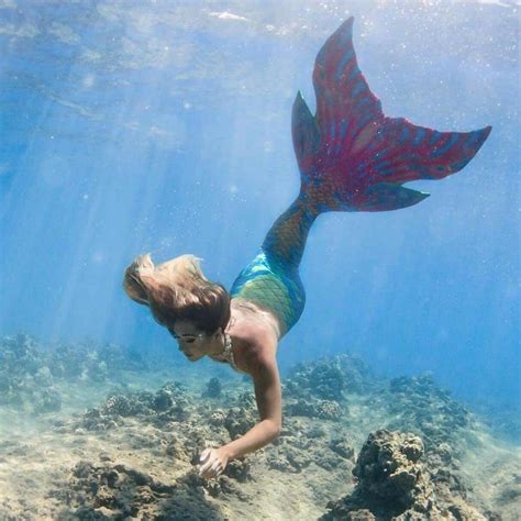 Pin By Kyle Milligan On Inspo Mermaid Pictures Mermaid Photos