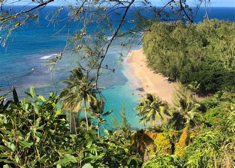 Best Beaches In Kauai Which One Is Your Perfect Spot