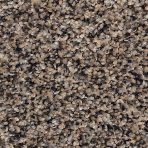 Stainmaster Sample Essentials Sonora Lazy Stroll Textured Carpet At