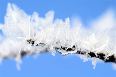 Free Picture Snowflake Blue Sky Nature Ice Frozen Cold Frost