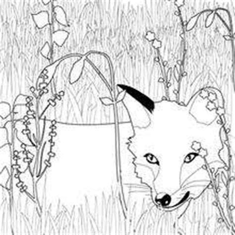 Coloriages coloriage du renard et l'enfant  fr.hellokids.com