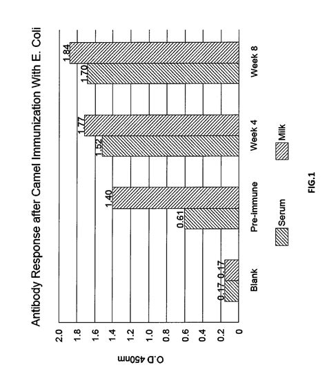 Immunized Camel Milk-Based Composition for the Treatment or Prevention