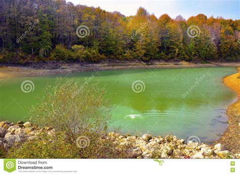 Autumnal Scene With Yellow Pond And Autumn Trees Stock Image Image