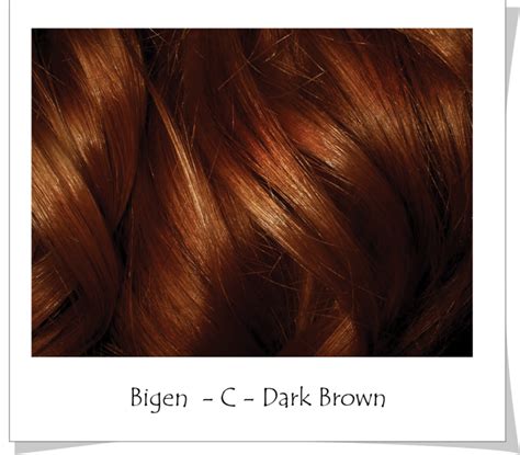 Bigen powder hair color #56 rich medium brown (case of 6). Pin on Power of Earth