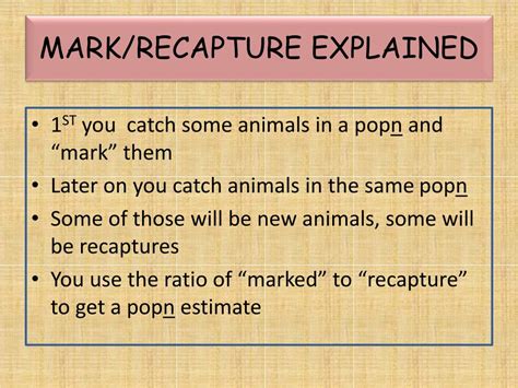 ppt selkirk grizzly bear dna mark recapture analysis powerpoint presentation id 97786
