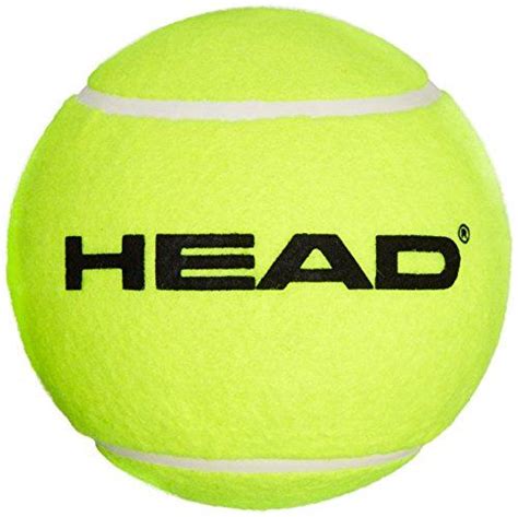 Sintético 104 Foto Cut The Head Of Tennis Bloody Actualizar