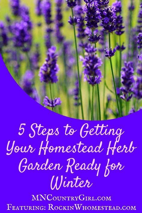 5 Steps To Getting Your Homestead Herb Garden Ready For Winter Winter