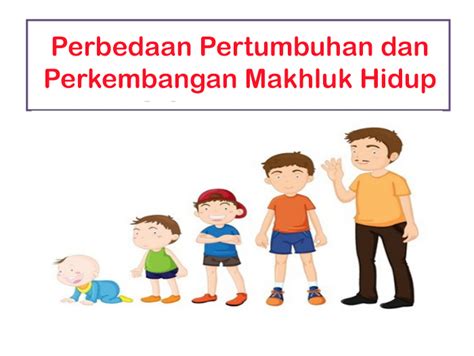 Perbedaan Pertumbuhan Dan Perkembangan Makhluk Hidup Markijar Com