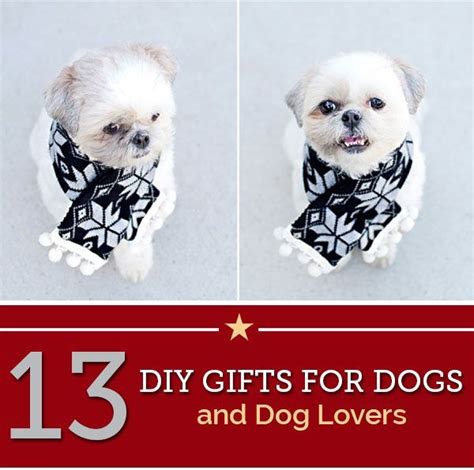 20 Amazing Ts Your Dog Will Love Pawsome Ts For Dogs And Dog
