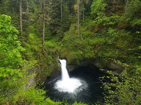 Punch Bowl Falls Hiking In Portland Oregon And Washington