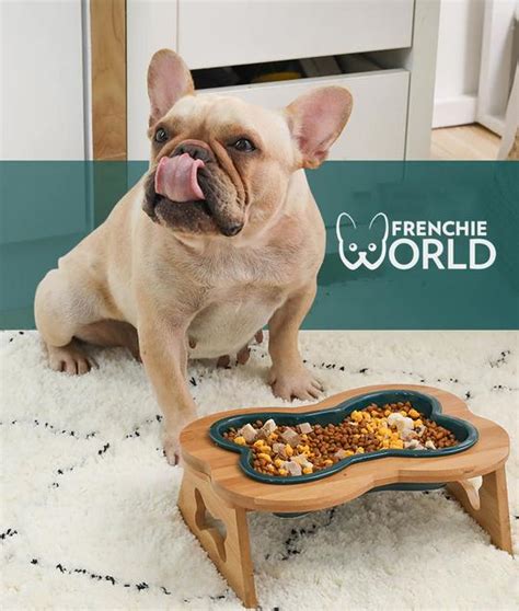 Feed Your Frenchie Right Our Top 10 Picks For The Best Dog Food For