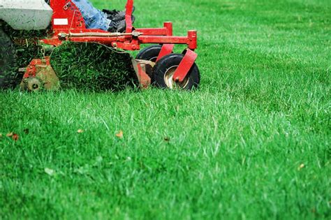 Commercial Lawn Maintenance Lawn Care Amc Landscape