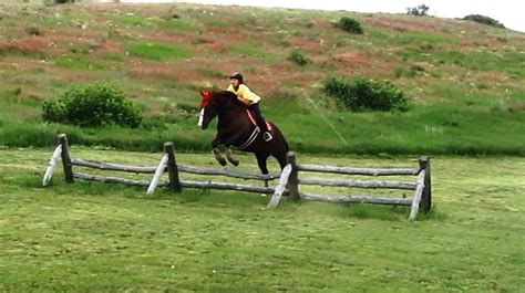 We did not find results for: Homemade Horse Jumps Ideas - Homemade Ftempo
