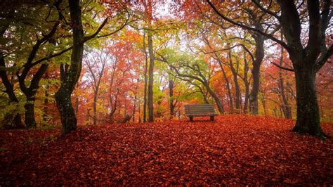 Colourful Autumn Wallpapers Wallpaper Cave