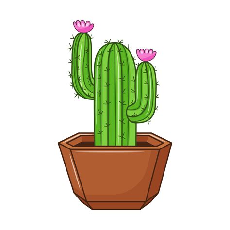 Vector cartoon cactus in pot. Indoor succulent plant with thorns and