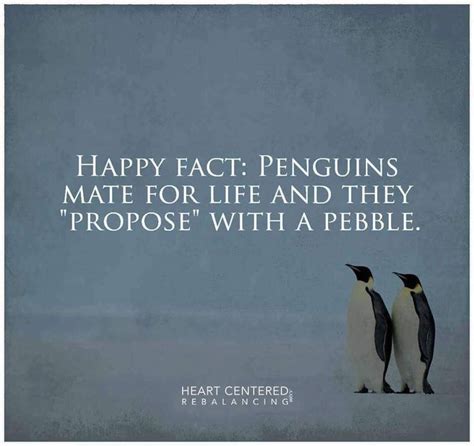 Penguin art penguin love cute penguins penguin quotes funny penguin happy penguin penguin parade penguin tattoo penguin pictures. Best 25+ Penguin love quotes ideas on Pinterest | Penguin quotes, Cute penguins and Pictures of ...