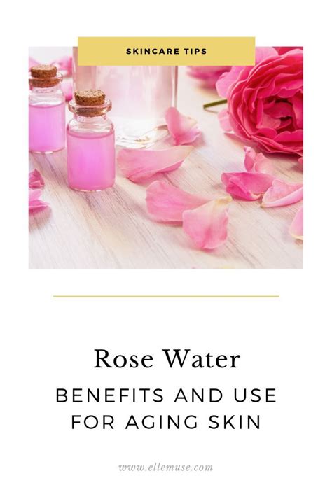 The Blooming Effects Of Rose Water Elle Muse Rose Water Benefits