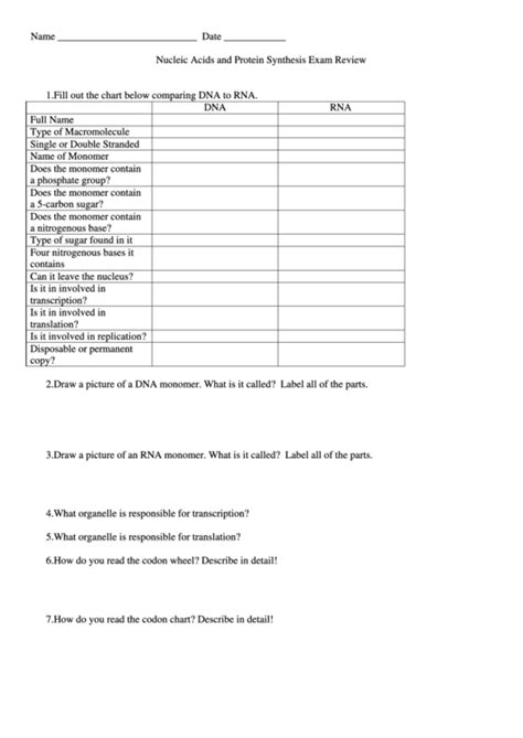 Match the term in the first column with its transporting amino acids to ribosomes for assembly into needed proteins is the function of. 31 Nucleic Acids And Protein Synthesis Worksheet Answers - Worksheet Database Source 2020