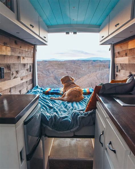 How To Vanlife With A Dog Longterm Outdoor Dog House Camper Van