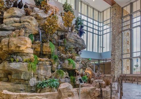 Aquariums At Oklahoma Department Of Wildlife Conservation Headquarters