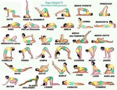 Posturaa Basicas De Yoga Integral Posturas De Hatha Yoga Posturas De