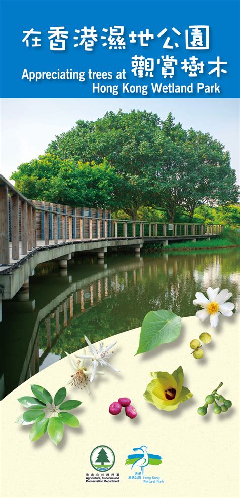 Check spelling or type a new query. 香港濕地公園 - 下載區 - 小冊子及海報 - 香港濕地公園訪客資訊及生態