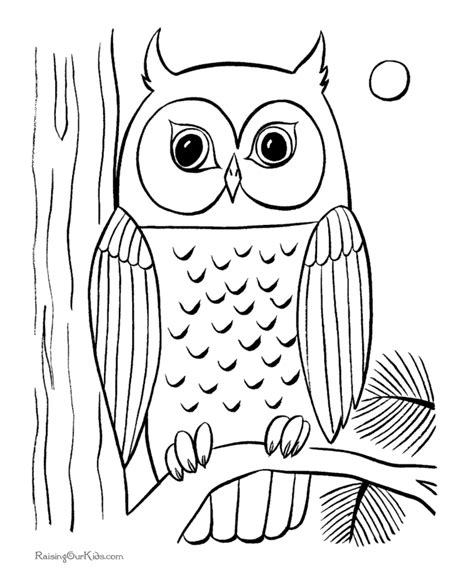 Nocturnal Bird Owl Coloring Pages 34 Pictures Cartoon Clip Arts Print