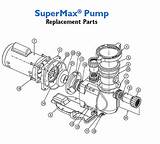 Pool And Spa Pump Diagram Pictures