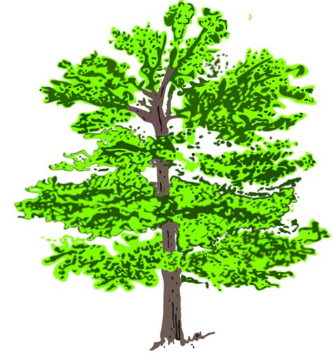 Pohon Hijau Tanaman · Gambar Vektor Gratis Di Pixabay