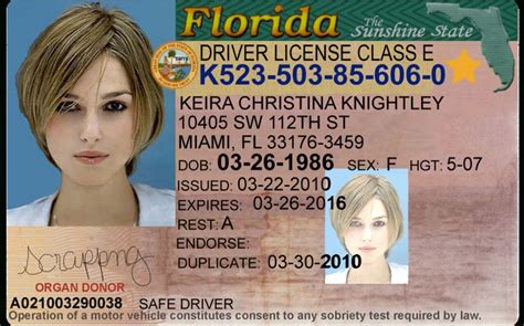 Florida Id Card Template In 2021 Id Card Template Card Template
