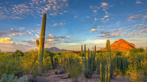 Wallpaper 1920x1080 Px Arizona Cactus Desert Landscape Mountain