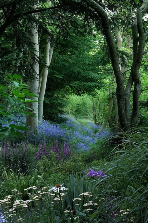 Exquiste Garden In A Natural Forest Setting So Tranquil And Cool